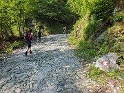 11 seguiamo il segnavia 317